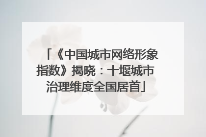《中国城市网络形象指数》揭晓：十堰城市治理维度全国居首