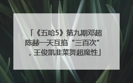 《五哈5》第九期邓超陈赫一天互掐“三百次”，王俊凯韭菜舞超魔性