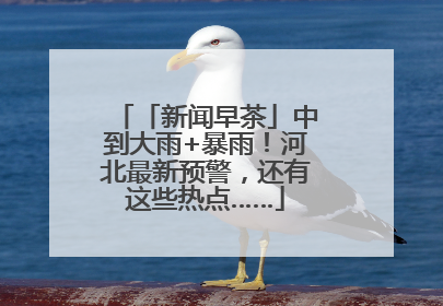 「新闻早茶」中到大雨+暴雨！河北最新预警，还有这些热点……