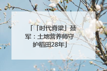 「时代脊梁」聂军：土地营养师守护稻田28年