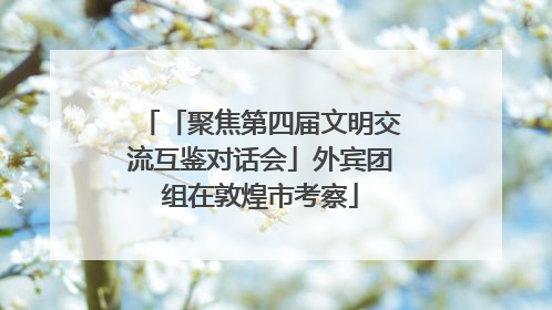 「聚焦第四届文明交流互鉴对话会」外宾团组在敦煌市考察
