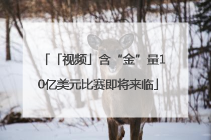 「视频」含“金”量10亿美元比赛即将来临
