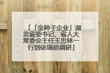 「金种子企业」湖北省委书记、省人大常委会主任王忠林一行到依瑞德调研