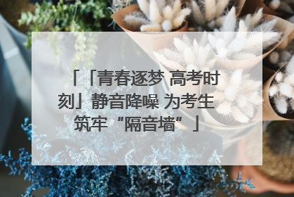 「青春逐梦 高考时刻」静音降噪 为考生筑牢“隔音墙”