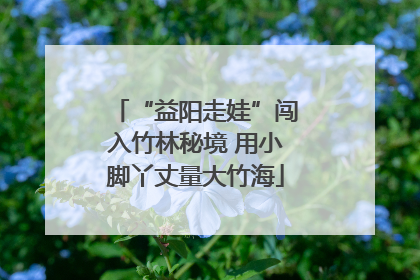 “益阳走娃”闯入竹林秘境 用小脚丫丈量大竹海