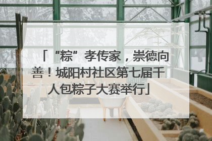 “粽”孝传家，崇德向善！城阳村社区第七届千人包粽子大赛举行