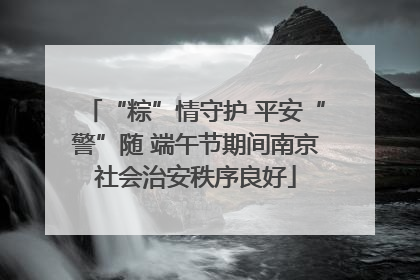 “粽”情守护 平安“警”随 端午节期间南京社会治安秩序良好
