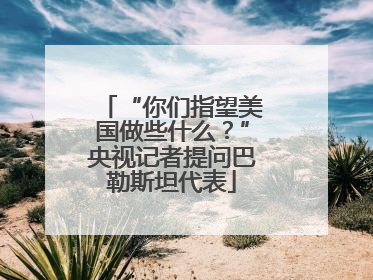 “你们指望美国做些什么？”央视记者提问巴勒斯坦代表