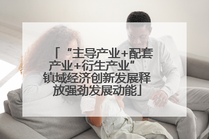 “主导产业+配套产业+衍生产业” 镇域经济创新发展释放强劲发展动能