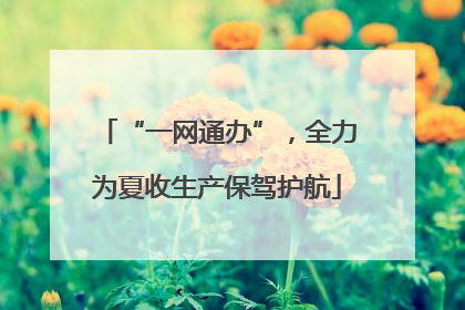 “一网通办”，全力为夏收生产保驾护航