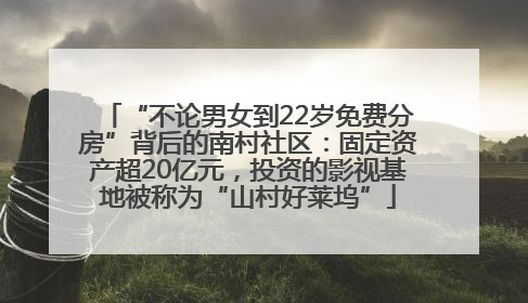 “不论男女到22岁免费分房”背后的南村社区：固定资产超20亿元，投资的影视基地被称为“山村好莱坞”