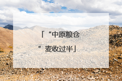 “中原粮仓”麦收过半