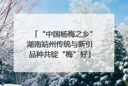 “中国杨梅之乡”湖南靖州传统与新引品种共绽“梅”好