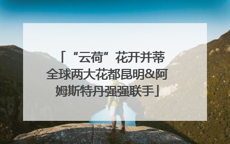 “云荷”花开并蒂 全球两大花都昆明&阿姆斯特丹强强联手