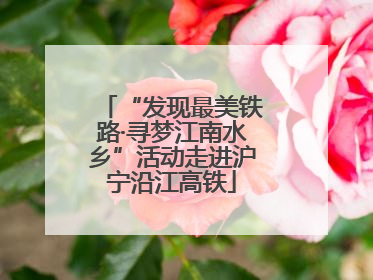 “发现最美铁路·寻梦江南水乡”活动走进沪宁沿江高铁