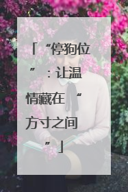 “停狗位 ”：让温情藏在 “方寸之间 ”