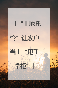 “土地托管”让农户当上“甩手掌柜”