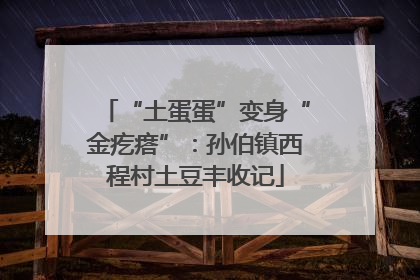 “土蛋蛋”变身“金疙瘩”：孙伯镇西程村土豆丰收记