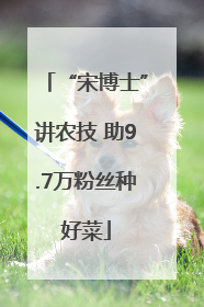 “宋博士”讲农技 助9.7万粉丝种好菜