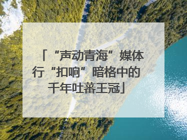 “声动青海”媒体行“扣响”暗格中的千年吐蕃王冠