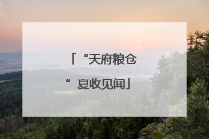 “天府粮仓”夏收见闻