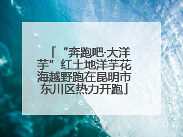 “奔跑吧·大洋芋”红土地洋芋花海越野跑在昆明市东川区热力开跑