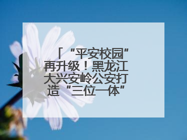 “平安校园”再升级！黑龙江大兴安岭公安打造“三位一体”守护新模式