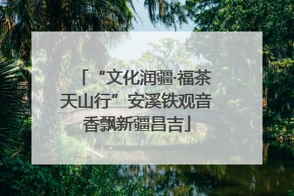 “文化润疆·福茶天山行”安溪铁观音香飘新疆昌吉