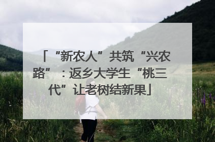 “新农人”共筑“兴农路”：返乡大学生“桃三代”让老树结新果
