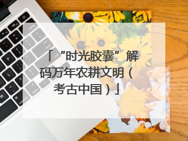 “时光胶囊”解码万年农耕文明（考古中国）