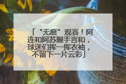 “无痕”观赛！阿连和阿苏握手言和，球迷们挥一挥衣袖，不留下一片云彩