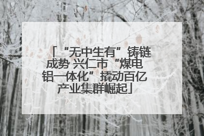 “无中生有”铸链成势 兴仁市“煤电铝一体化”撬动百亿产业集群崛起
