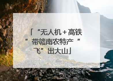 “无人机＋高铁”带赣南农特产“飞”出大山
