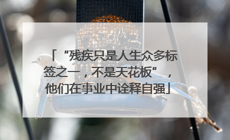 “残疾只是人生众多标签之一，不是天花板”，他们在事业中诠释自强