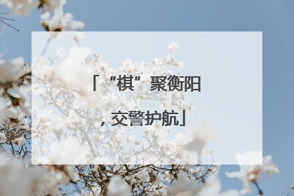 “棋”聚衡阳，交警护航
