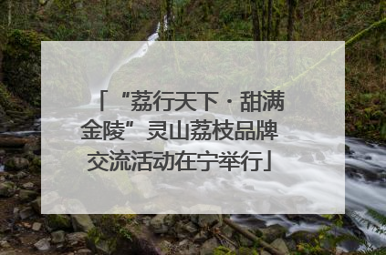 “荔行天下・甜满金陵”灵山荔枝品牌交流活动在宁举行