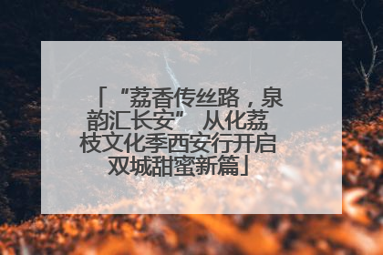 “荔香传丝路，泉韵汇长安” 从化荔枝文化季西安行开启双城甜蜜新篇