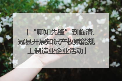 “聊知先锋”到临清、冠县开展知识产权赋能规上制造业企业活动