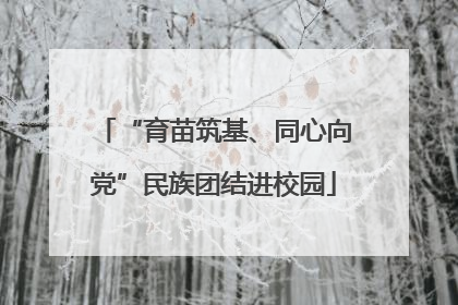 “育苗筑基、同心向党”民族团结进校园