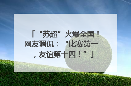 “苏超”火爆全国！网友调侃：“比赛第一，友谊第十四！”