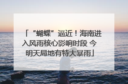 “蝴蝶”逼近！海南进入风雨核心影响时段 今明天局地有特大暴雨