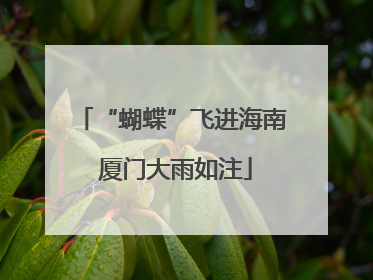 “蝴蝶”飞进海南 厦门大雨如注