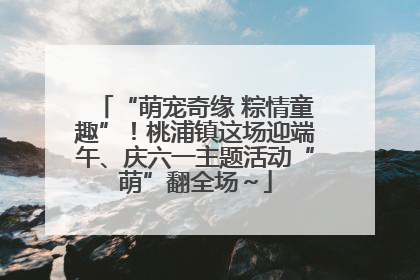 “萌宠奇缘 粽情童趣”！桃浦镇这场迎端午、庆六一主题活动“萌”翻全场～