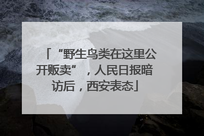 “野生鸟类在这里公开贩卖”，人民日报暗访后，西安表态