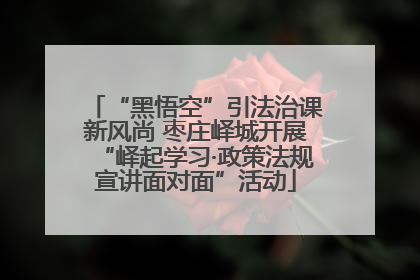 “黑悟空”引法治课新风尚 枣庄峄城开展“峄起学习·政策法规宣讲面对面”活动