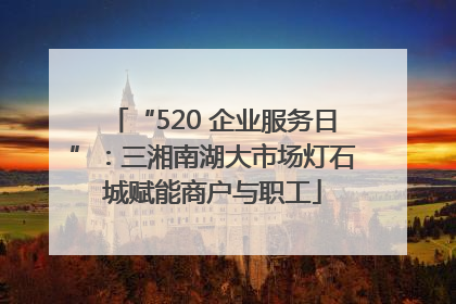 “520 企业服务日”：三湘南湖大市场灯石城赋能商户与职工