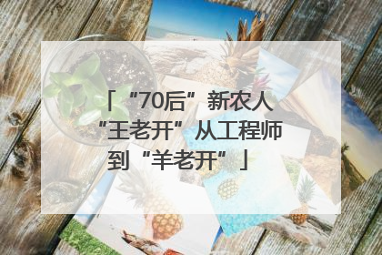 “70后”新农人“王老开”从工程师到“羊老开”