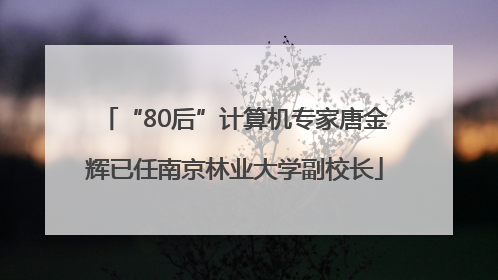 “80后”计算机专家唐金辉已任南京林业大学副校长