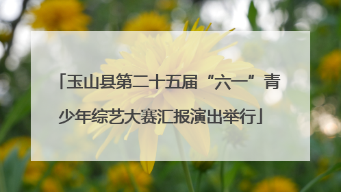 玉山县第二十五届“六一”青少年综艺大赛汇报演出举行