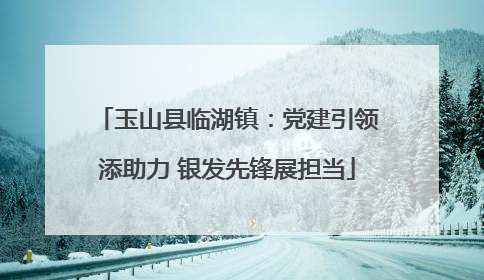 玉山县临湖镇：党建引领添助力 银发先锋展担当